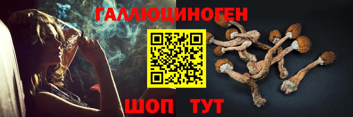 Кострома  Псилоцибиновые грибы GOLDEN TEACHER  Галлюциногенные грибы мицелий  Вход с VPN 