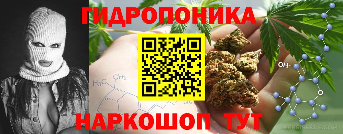 МАРИХУАНА планчик  Вход с VPN  Шишки марихуана гибрид  Кострома  Марихуана SATIVA & INDICA 