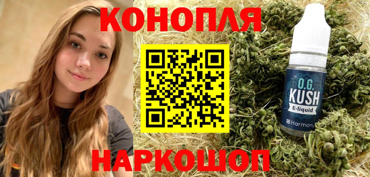 Конопля сатива  Канабис ГИДРОПОН  Кострома  Конопля индика 